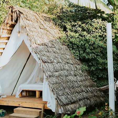 Mambo Arusha Hostel Kültér fotó